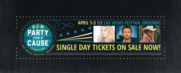 SingleDayTicketBanner-2